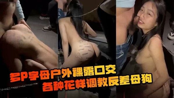 多P字.母户外裸露口交各种花样调教反差母狗